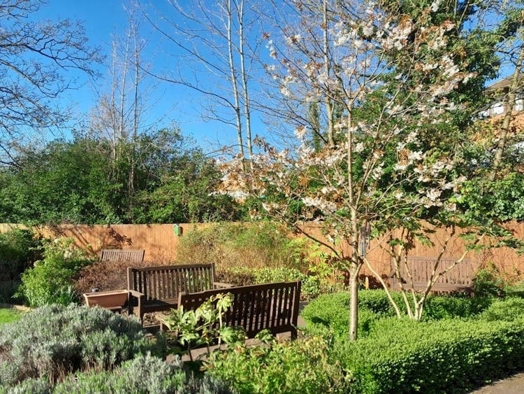 Cambridge Manor Care Home