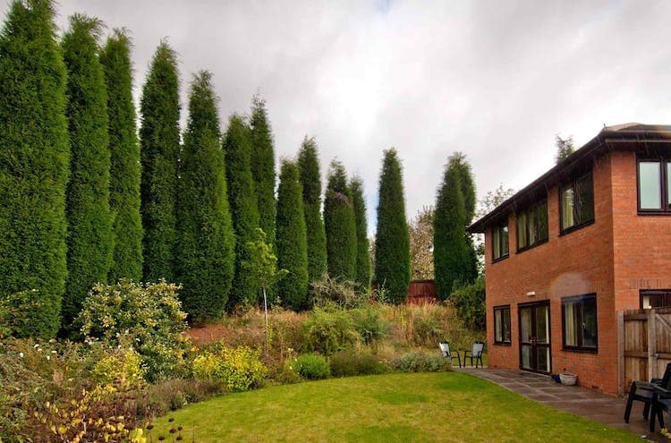 Abbeywell Court Care Home
