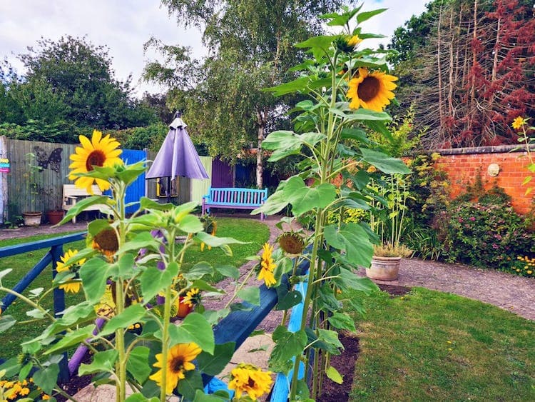 The Boynes Care Home