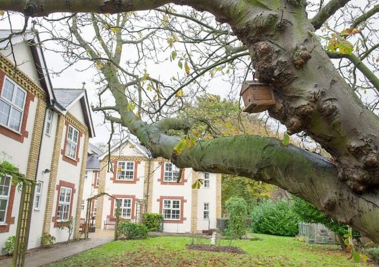 Wilmington Manor Care Home