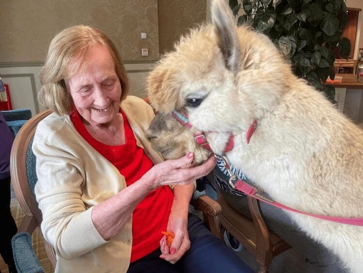Buckler's Lodge Care Home