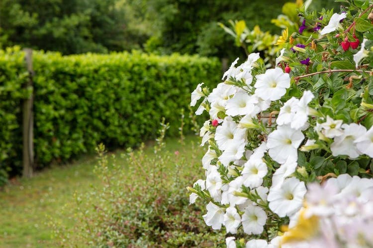 Princess Christian Care Home