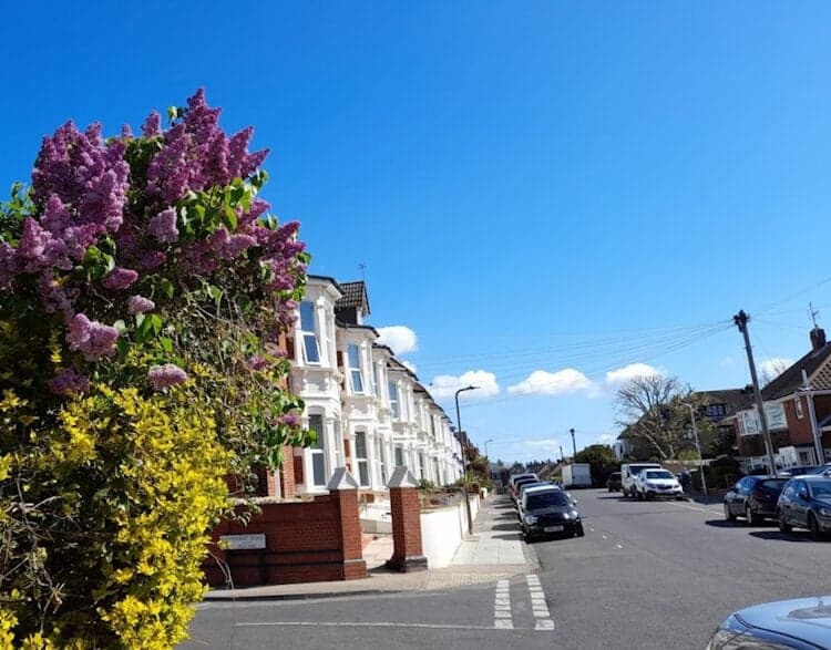 Bluebell Care Home
